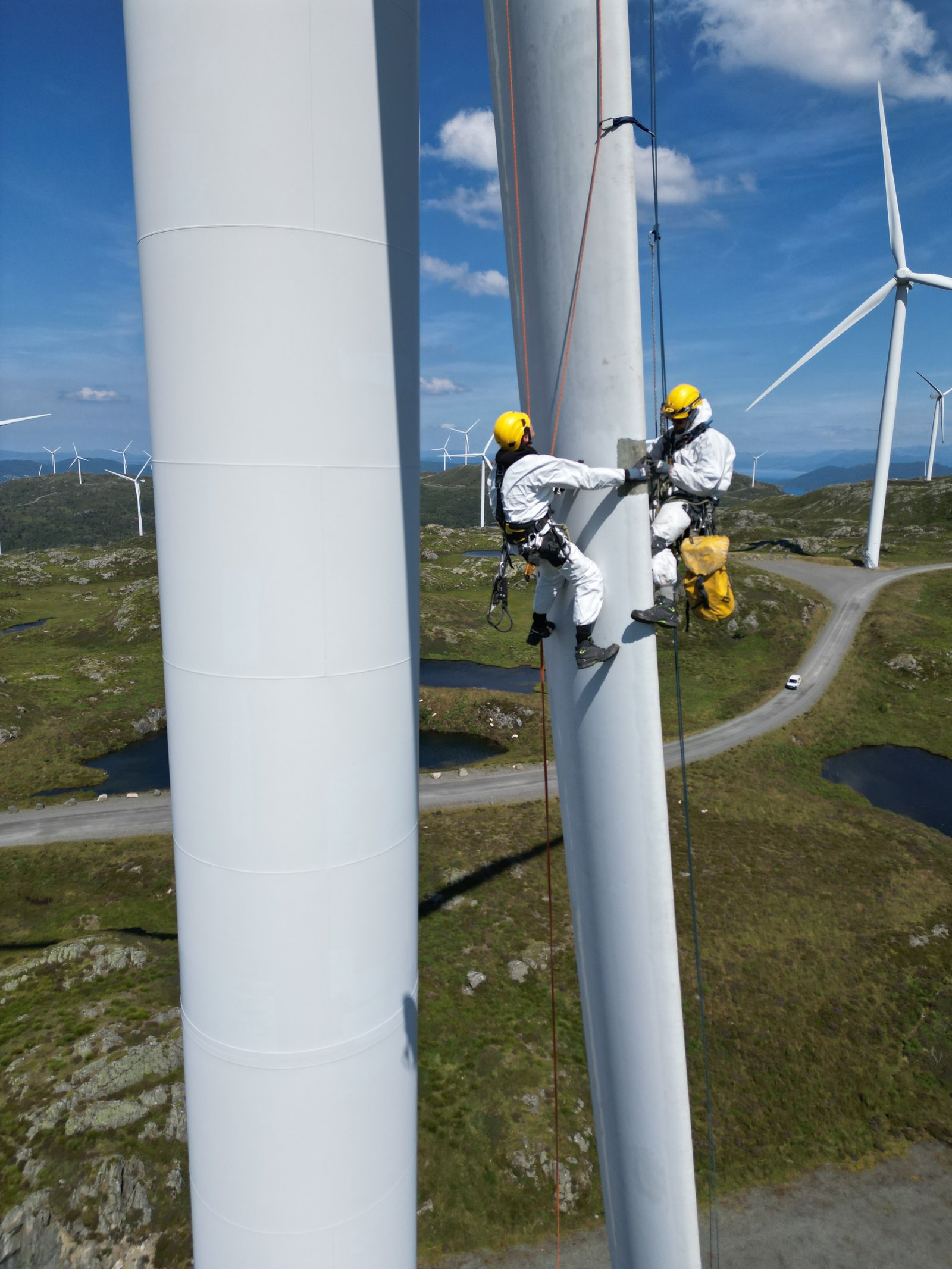 leading_the_wind
